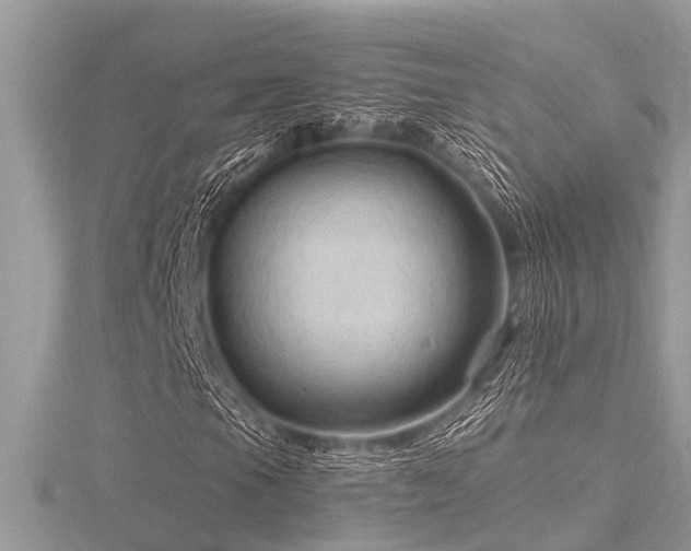 X0000116591105200912101533
