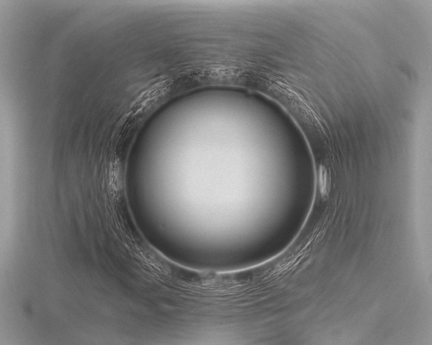 X0000116591107200912101533