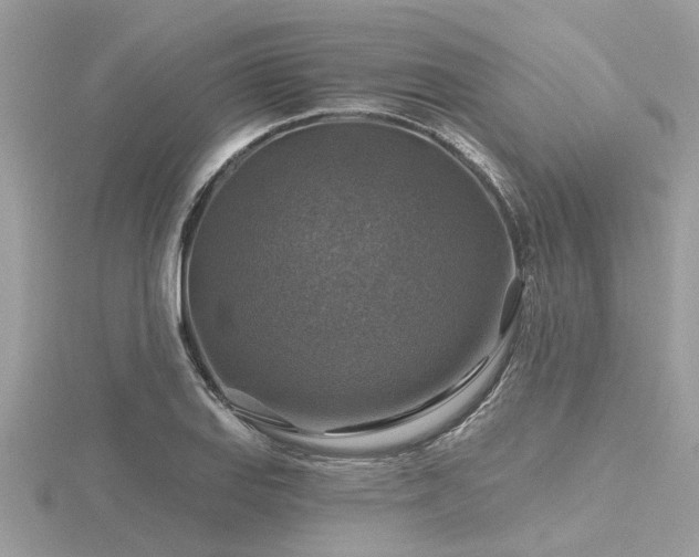 X0000116591127200912101533