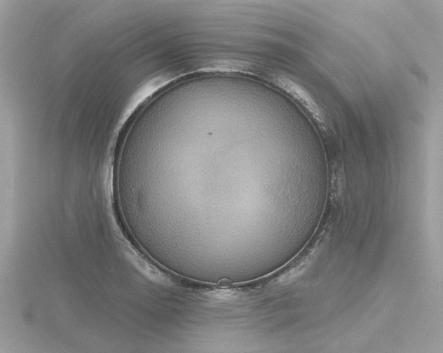 X0000116591130200912101533