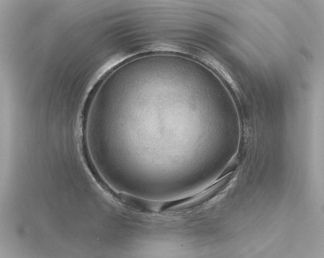 X0000116591133200912101533