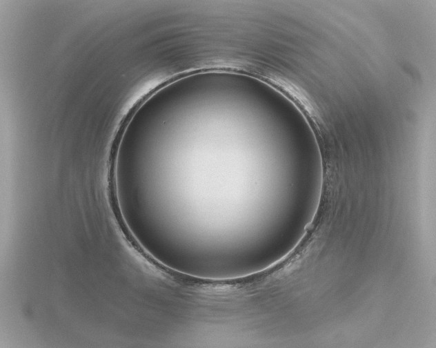X0000116591135200912101533
