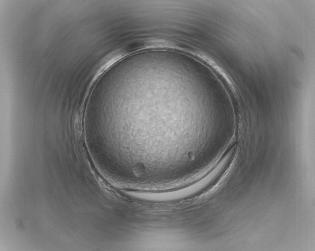 X0000116591145200912101534