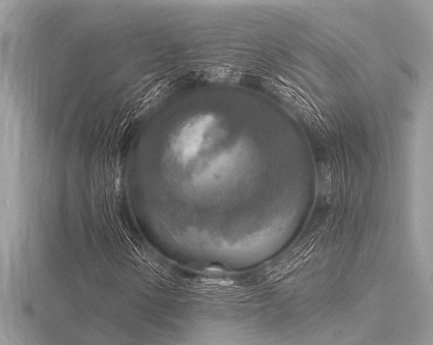 X0000116591154200912101533