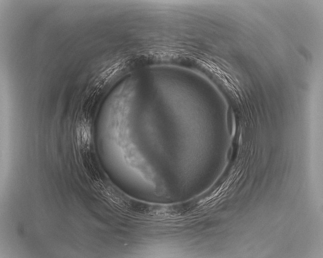 X0000116591155200912101533