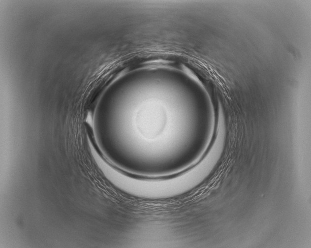 X0000116591157200912101533
