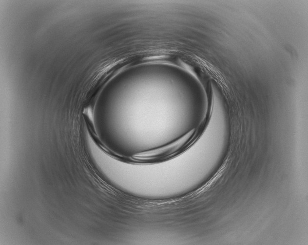 X0000116591161200912101533