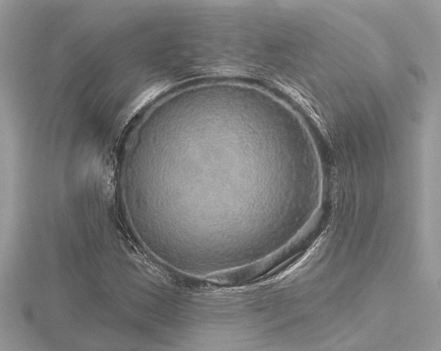 X0000116591163200912101533