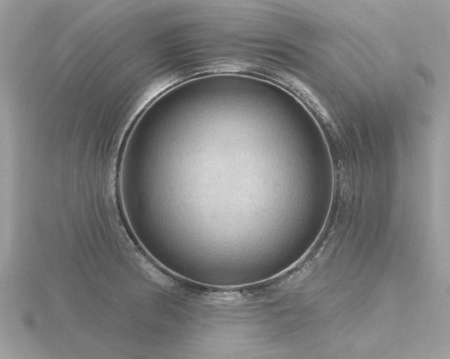 X0000116591186200912101533