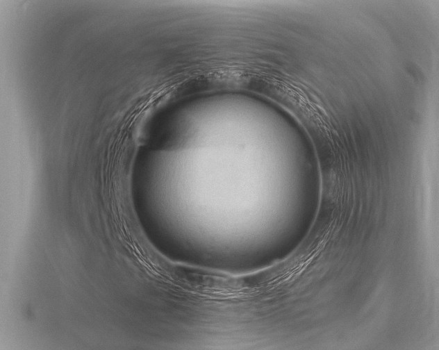 X0000116591201200912101532