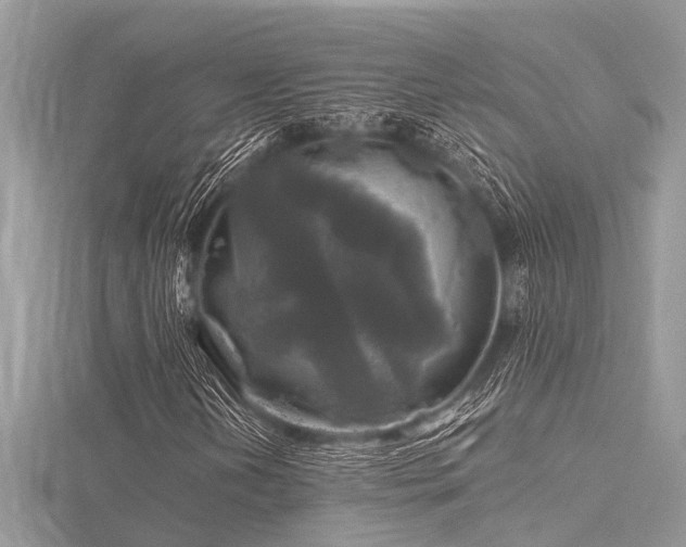 X0000116591202200912101532