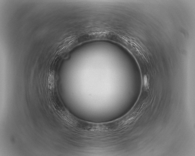 X0000116591203200912101532