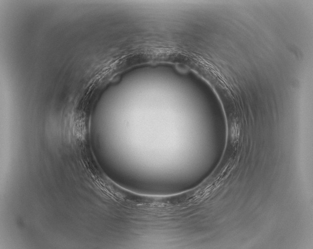 X0000116591204200912101532