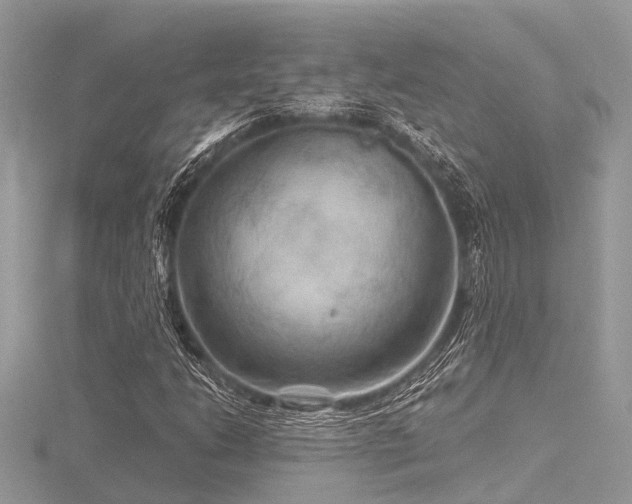 X0000116591206200912101532