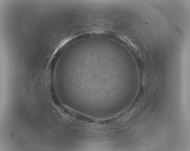 X0000116591208200912101532