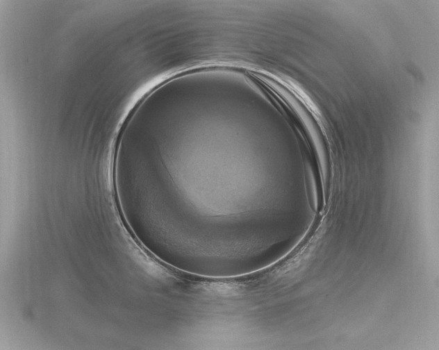 X0000116591246200912101532