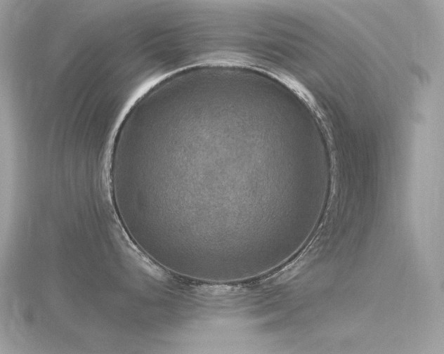 X0000116591248200912101532