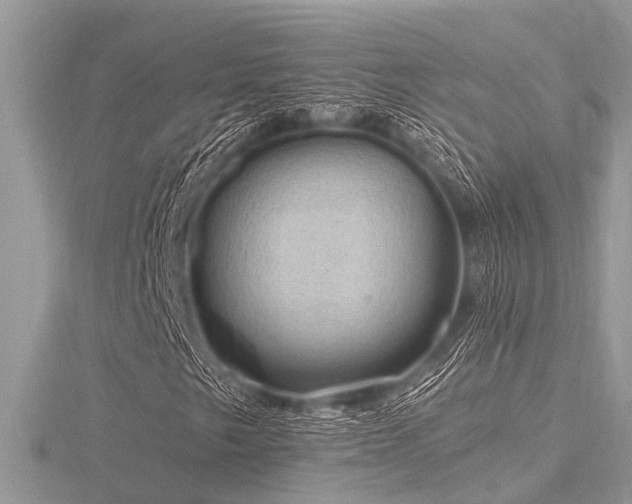 X0000116591249200912101532