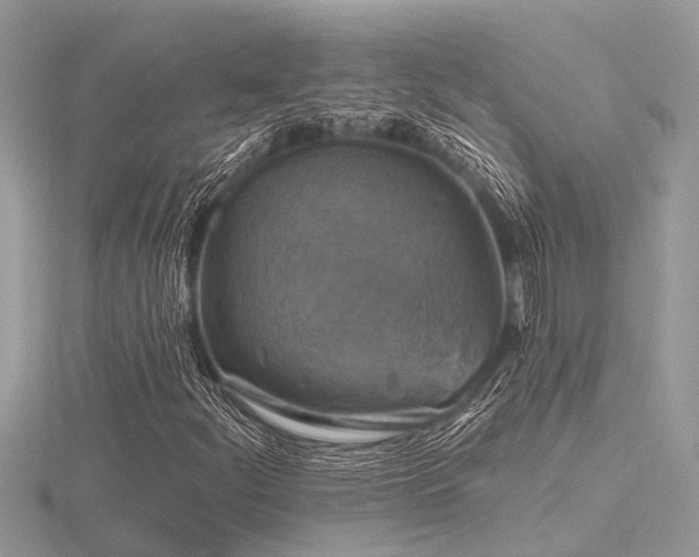 X0000116591252200912101532