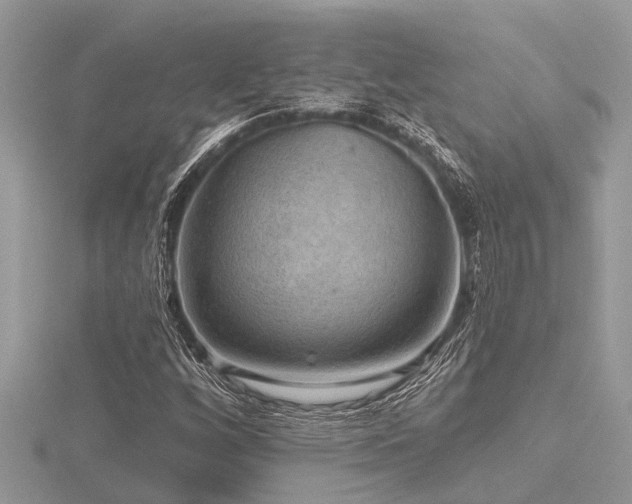 X0000116591256200912101532