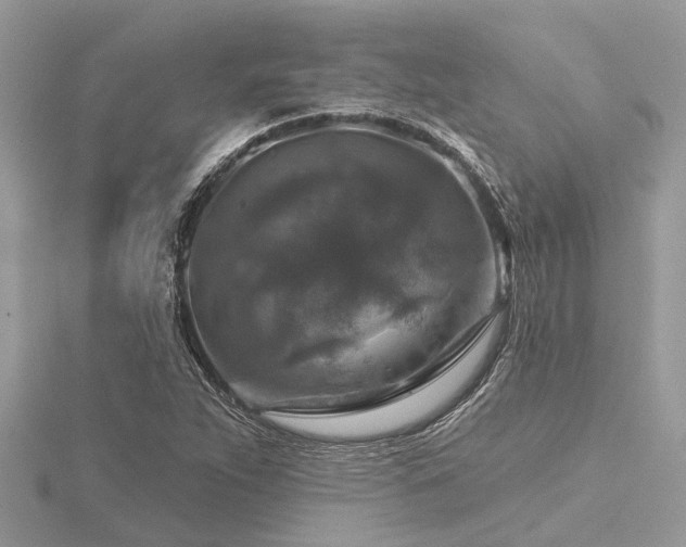 X0000116591263200912101532