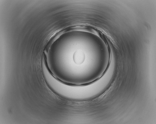 X0000116591273200912101531
