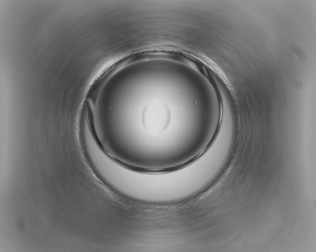 X0000116591277200912101531