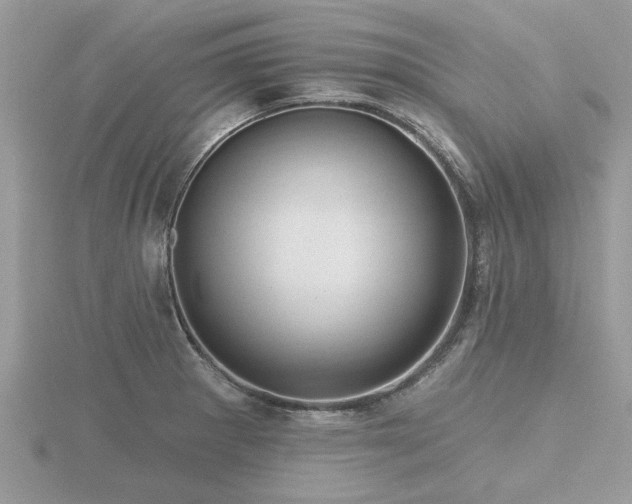 X0000116591281200912101531