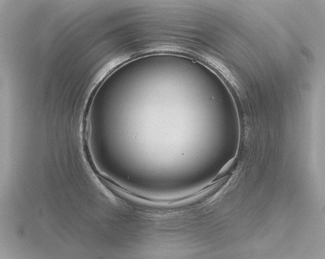 X0000116591282200912101531