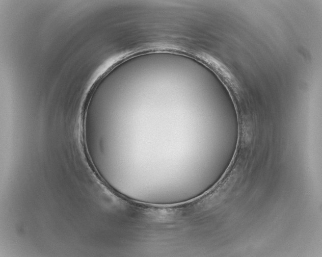X0000116591286200912101531