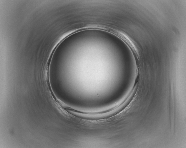 X0000116591292200912101531
