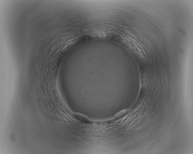 X0000116591297200912101531