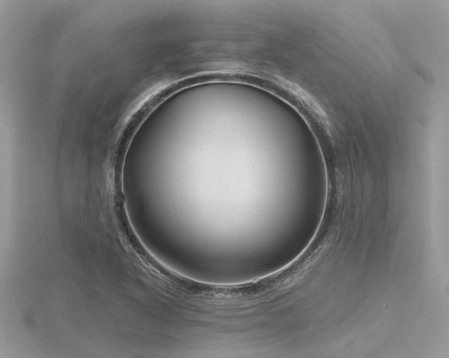 X0000116591318200912101531