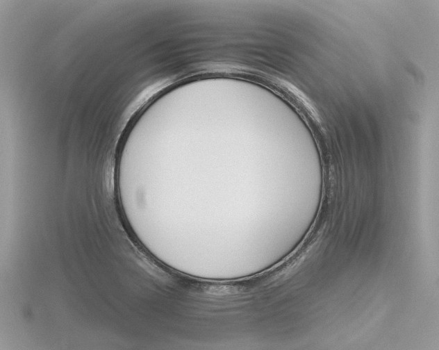 X0000116591322200912101531