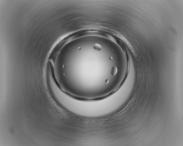 X0000116591323200912101531