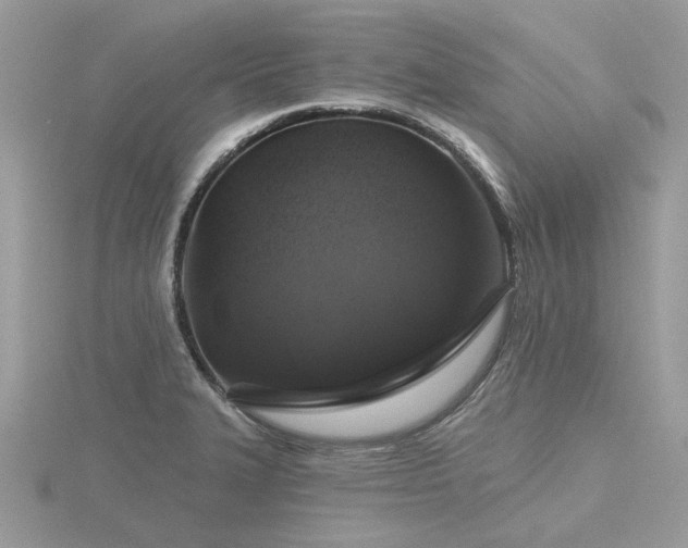 X0000116591327200912101531