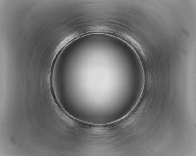 X0000116591330200912101531
