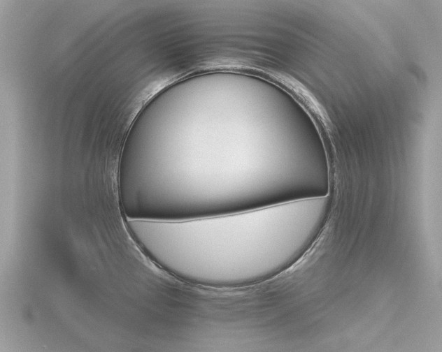 X0000116591337200912101531