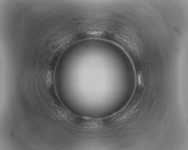 X0000116591347200912101531