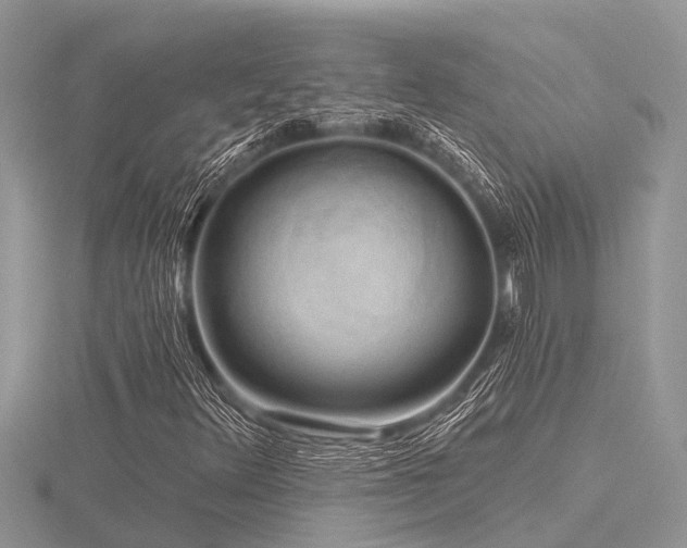 X0000116591348200912101531