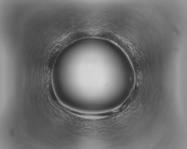 X0000116591349200912101531