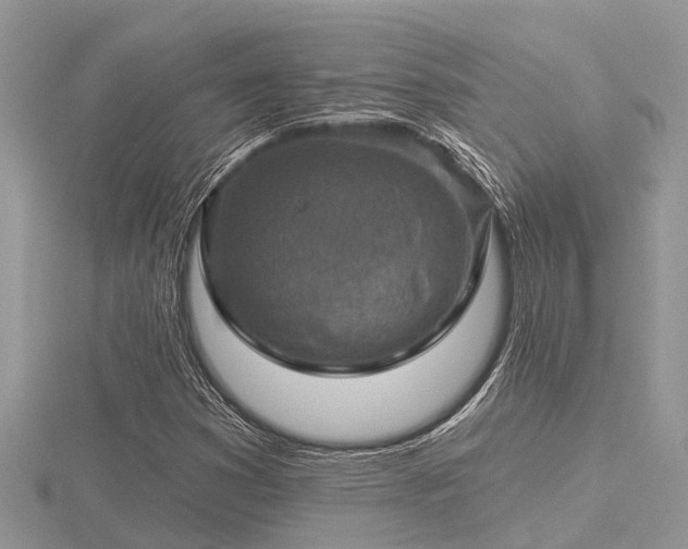 X0000116591353200912101530