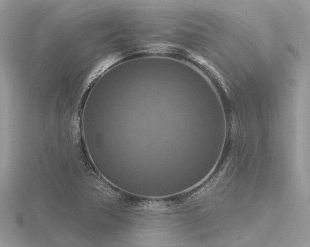X0000116591362200912101530