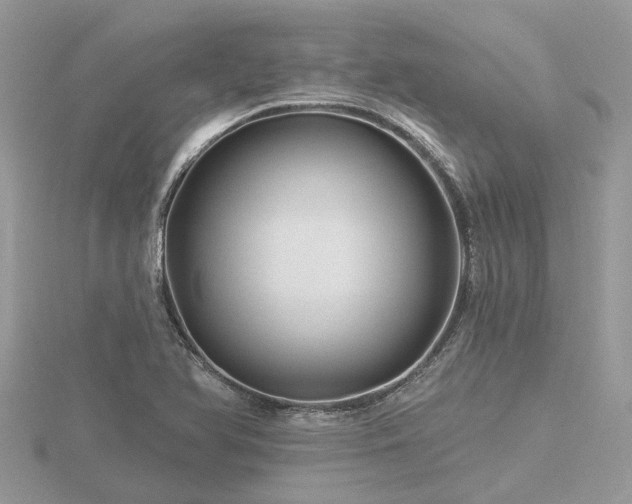 X0000116591366200912101530