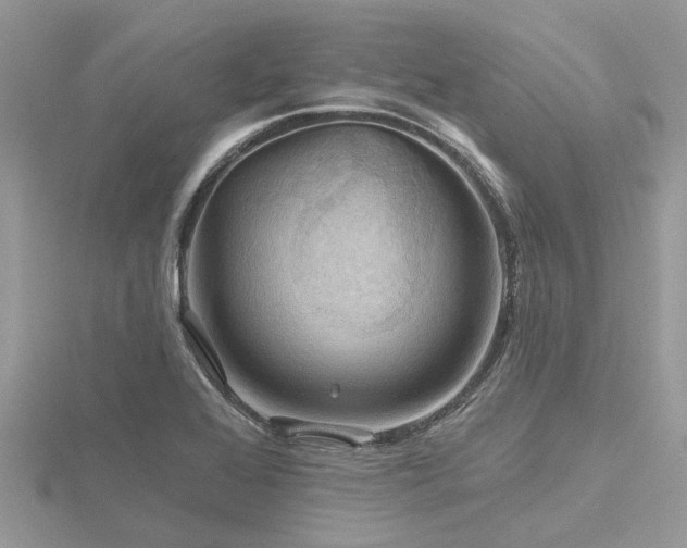 X0000116591368200912101530