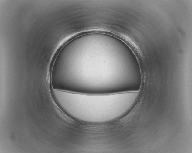 X0000116591372200912101530