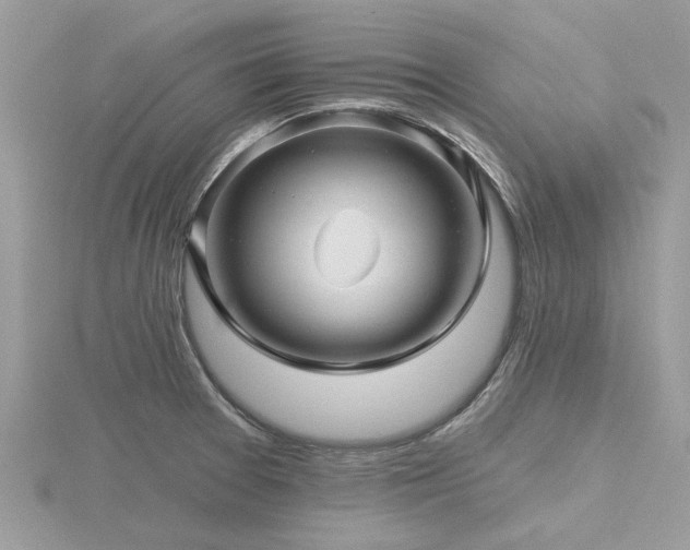 X0000116591377200912101530
