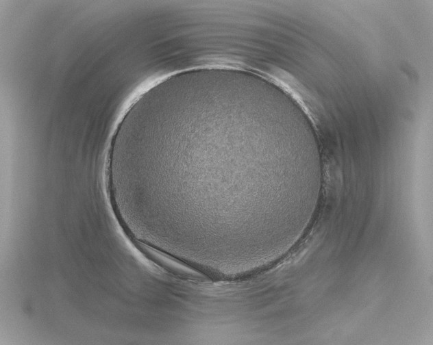 X0000116591379200912101530