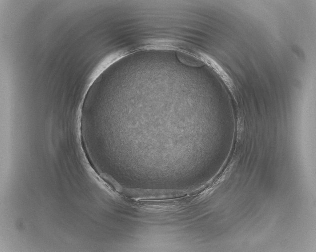 X0000116591386200912101530