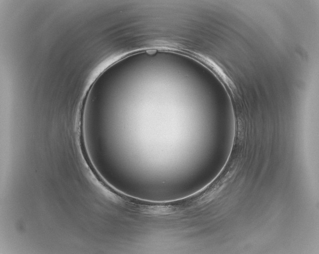 X0000116591387200912101530
